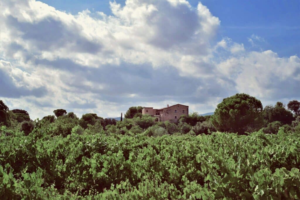 Excursiones