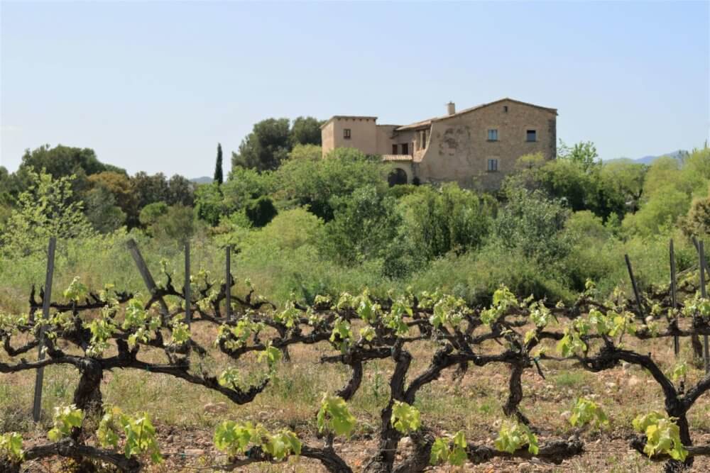 Història 1 z MASIA VALLFORT 12 e1609147816580